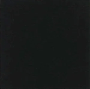 Керамогранит Vives Monocolor Negro 20x20 матовый