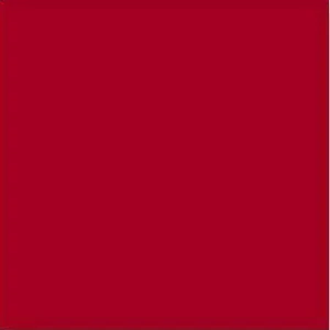 Плитка Vives Monocolor Rojo Volcan 20x20 матовая