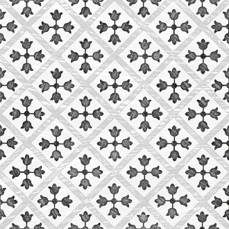 Guadalupe Grey