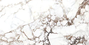 Керамогранит Museum Breccia White/60x120/EP 28566 60x120 полированный