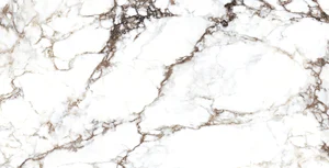 Керамогранит Museum Breccia White NT/60X120/R 28568 60x120 матовый