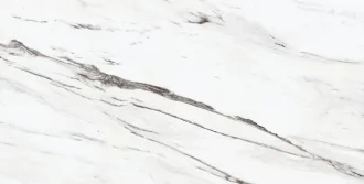 24202 Eternal White P