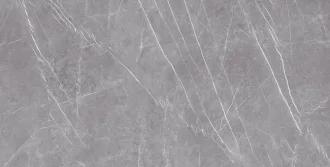 23447 Greystone Argent Ep