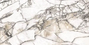 Керамогранит Museum Premiere White SP 75,5x151 матовый