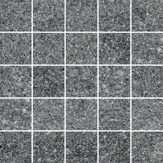 23550 D. Rugby Black Mosaic/25x25/Ep