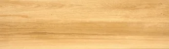 Mustiq Desert 4376