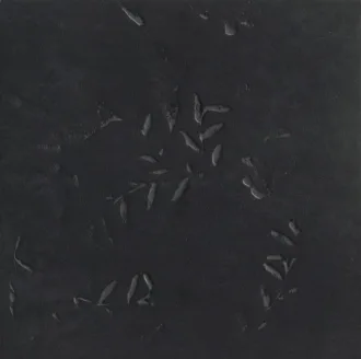 Chymia Impronta Black Gac24