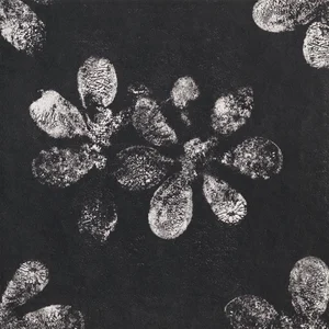 Керамогранит Mutina Chymia Ophelia Black Gac25 30x30 матовый