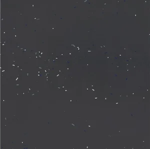 Керамогранит Mutina Primavera Nero Boa05 120x120 матовый