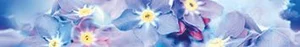 Бордюр Муза-Керамика Forget-me-not B300D248 4,5x30 глянцевый