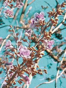 Панно Муза-Керамика Spring P2D261 30x40 глянцевое