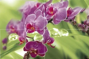 Панно Муза-Керамика Thailand P4D235 40x60 глянцевое