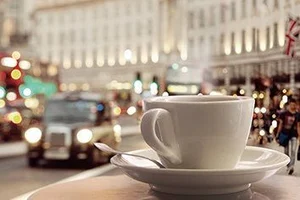 Декоративный элемент Муза-Керамика Travel cup D2D249 20x30 глянцевый