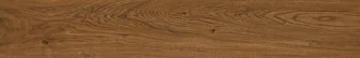 Chromatica Chestnut Naxos Ret 131261