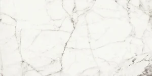 Керамогранит Naxos Rhapsody White Fun Nat Rett 120125 60x120 матовый