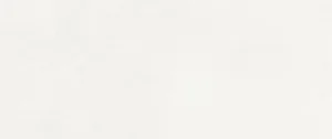 Плитка Naxos Surface Talc Rett 115295 25x59,5 матовая