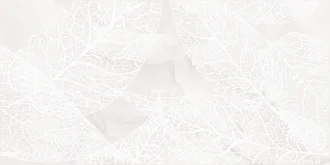 Альбори 04-01-1-10-03-06-1040-1