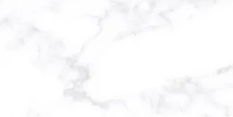 Брамс 00-00-5-18-00-06-1695