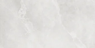 Тайлер 00-00-5-10-00-06-1091