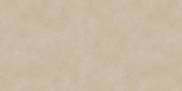 Керамогранит Neolith Fusion Pietra Di Osso Silk 20mm 160x320 матовый
