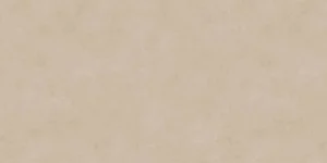 Керамогранит Neolith Fusion Pietra Di Osso Silk 20mm 160x320 матовый