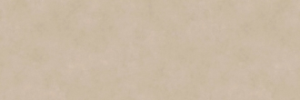 Fusion Pietra Di Osso Silk