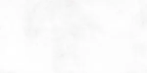 Плитка New Trend WT9KON00 Конор белый / Konor White 24,9x50 матовая