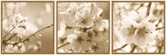 Next Dec. Bloom A