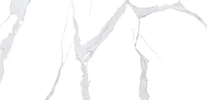 Керамогранит NT Ceramic Atlas Wide Bianco Statuario NTT3008P 120x240 полированный