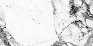 Керамогранит NT Ceramic Bright And Shiny Marble Grey NTT9111P 60x120 полированный