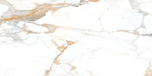 Керамогранит NT Ceramic Marmo Camela Statuario NTT99605M 60x120 матовый