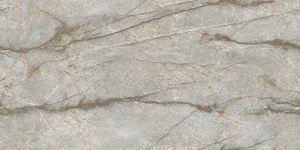 Керамогранит NT Ceramic Marmo Forest Carving NTT99517M 60x120 матовый