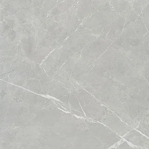 Керамогранит NT Ceramic Pietra PT6NTT1101P 60x60 полированный