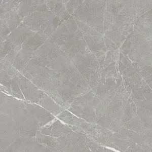 Керамогранит NT Ceramic Pietra PT6NTT1102L 60x60 лаппатированный