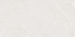 Керамогранит Ocean Ceramic Apana Bone 60x120 матовый