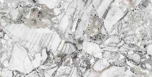 Керамогранит Ocean Ceramic Eva Stone 4,8 mm 60x120 полированный