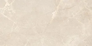Плитка Ocean Ceramic Hyper Ivory OC0000155 60x120 матовая