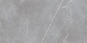 Керамогранит Ocean Ceramic IRN000050 Керамогранит 60x120 Arion Gray Dark 61x121 (Новая партия), 20мм матовый