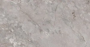 Керамогранит Ocean Ceramic OC0000181 Керамогранит 60x120 Element Castona Gris матовый