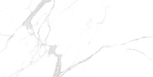 Керамогранит Ocean Ceramic OC0000213 Керамогранит 60x120 Statuario Orindo матовый
