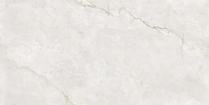 Керамогранит Ocean Ceramic OC0000215 Керамогранит 60x120 Infinity Venetian Blanco глянцевый