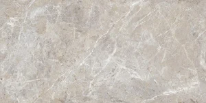 Керамогранит Ocean Ceramic OC0000216 Керамогранит 60x120 Infinity Panama Natural глянцевый