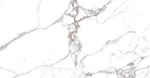 Керамогранит Ocean Ceramic OC0000241 Керамогранит 60x120 Element Canova White матовый