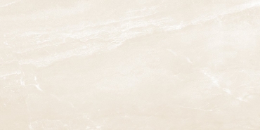 Керамогранит Ocean Ceramic Lumina Bone 60x120 матовый