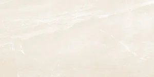 Керамогранит Ocean Ceramic Lumina Bone 60x120 матовый