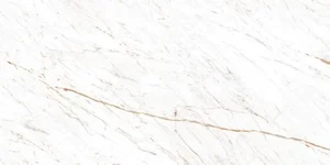 Керамогранит Ocean Ceramic Nero White 60x120 глянцевый