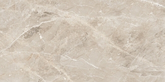 Tulip White