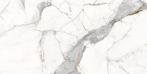 Керамогранит Ocean Ceramic Vienna Calcutta 4,8 mm 60x120 полированный
