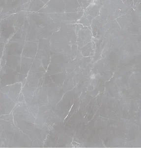 Керамогранит Ocean Ceramic Arion Gray Dark 20mm 60x60 матовый