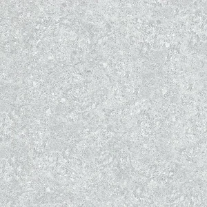 Керамогранит Ocean Ceramic Volcano Grey 60x60 матовый